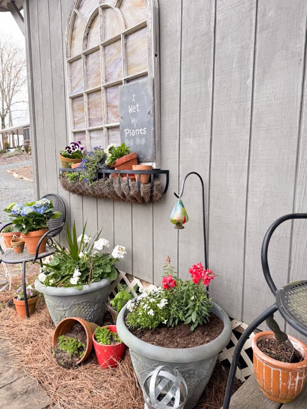 Outdoor Container Garden vignette with window box garden and DIY Faux concrete planting containers.  
