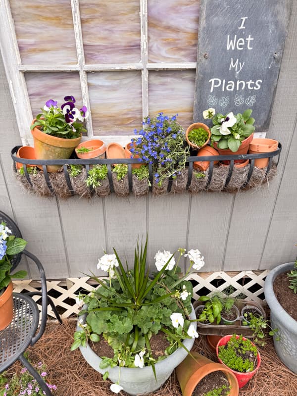 Window box Garden with a I wet my plants sign on slate tile.  Container garden Ideas for Flower containers.
