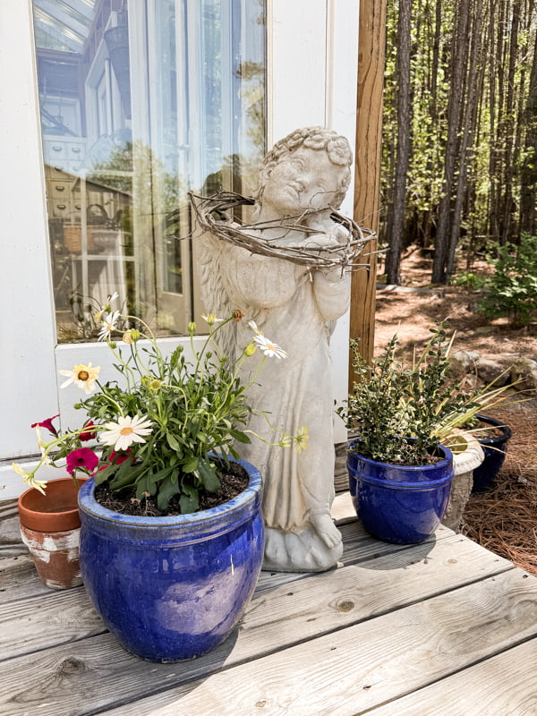 Old Vintage Angel statuary on greenhouse porch surrounded by blue planters filled with spring flowers