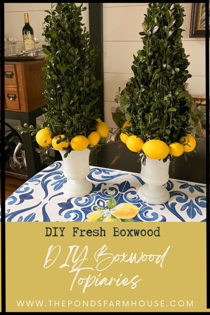 DIY Fresh Boxwood DIY Boxwood Topiaries - Farmhouse Style Budget-Friendly Craft Project.