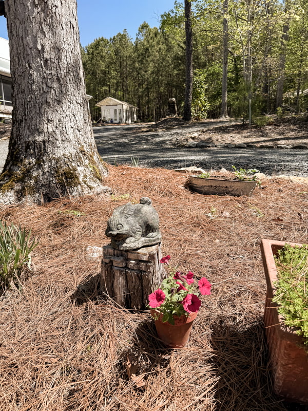 Vintage garden statuary bunny on tree stump in garden beside outdoor kitchen