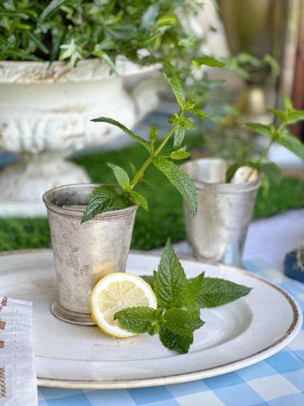 Kentucky Derby Mint Julep with silver mug. 