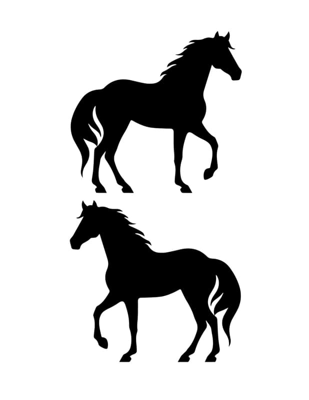 Horse Graphics