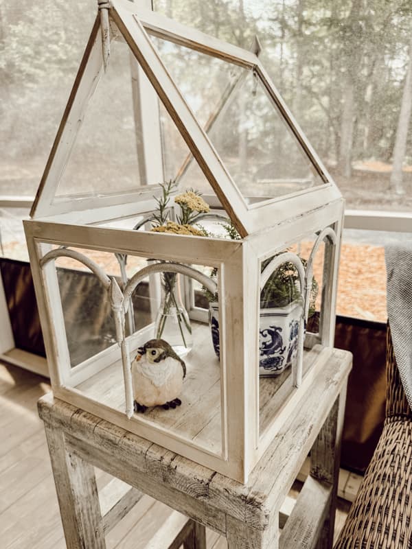 Glass Terrarium made with Dollar Tree Supplies filled with plants and a bird.