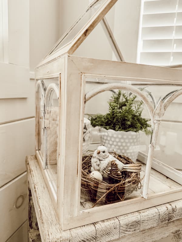 Close up of DIY Terrarium with bird nest and fern plant inside a hobnail milk glass vase.  Dollar Tree Craft