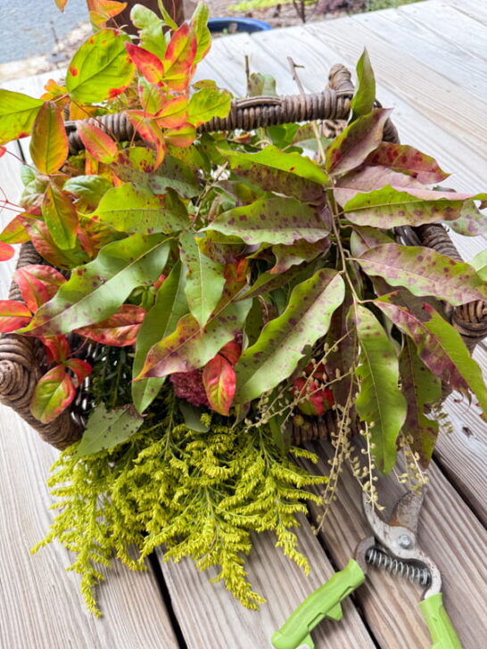 Transform Foraged Treasure: Stunning Fall Floral Arrangement