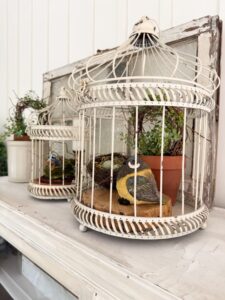 View of Decorating with Bird Cages: 5 Unique Home Decor Ideas