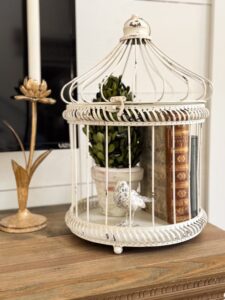 View of Decorating with Bird Cages: 5 Unique Home Decor Ideas