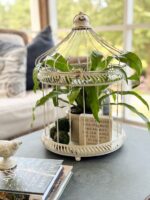Decorating with Bird Cages: 5 Unique Home Decor Ideas - Bird Cage Coffee Table Plans Diy