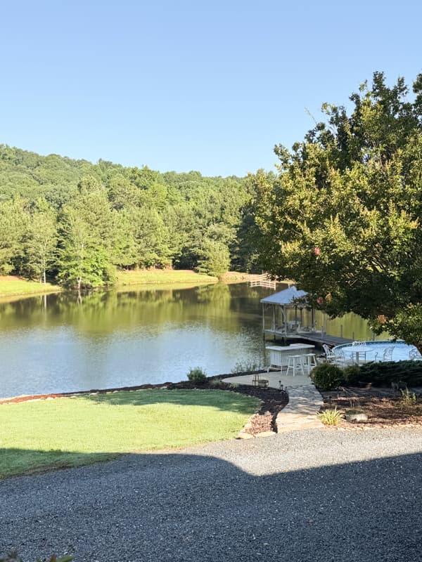 sunshine on the ponds