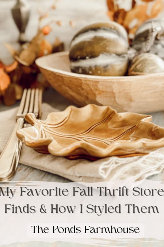 Favorite Thrift Store Finds & How I Styled Them