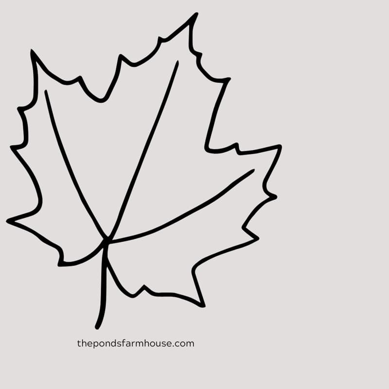 Leaf Pattern for Pottery Barn Dish