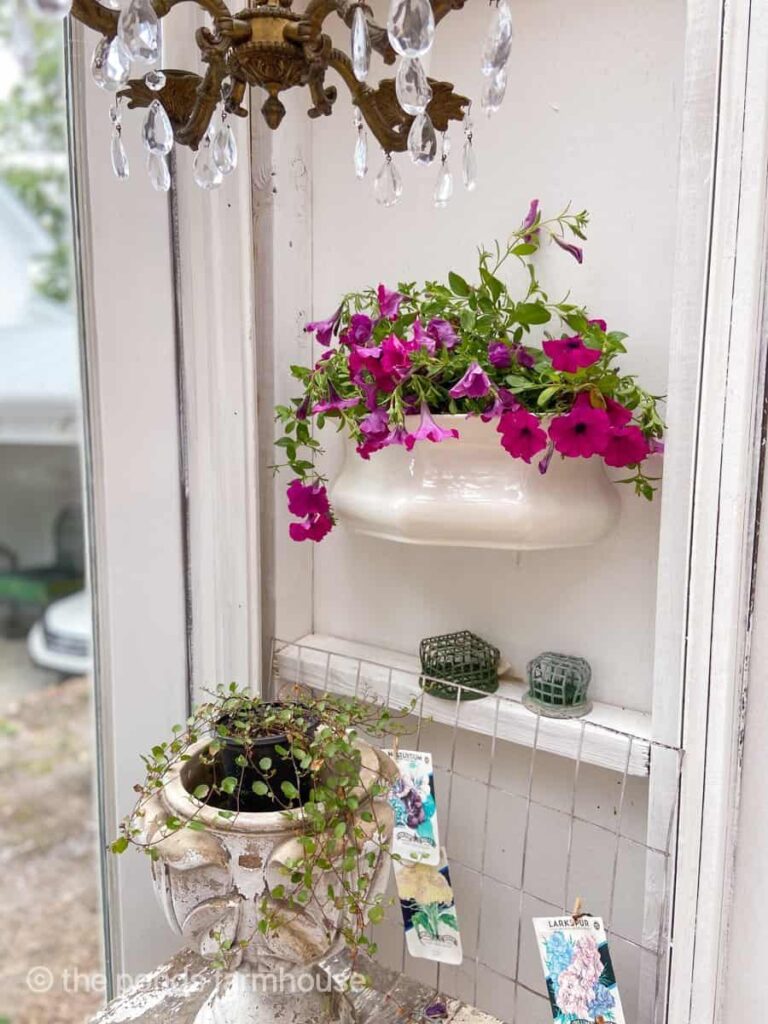 Summer Greenhouse with vintage planter filled with petunas and thrifted chandelier