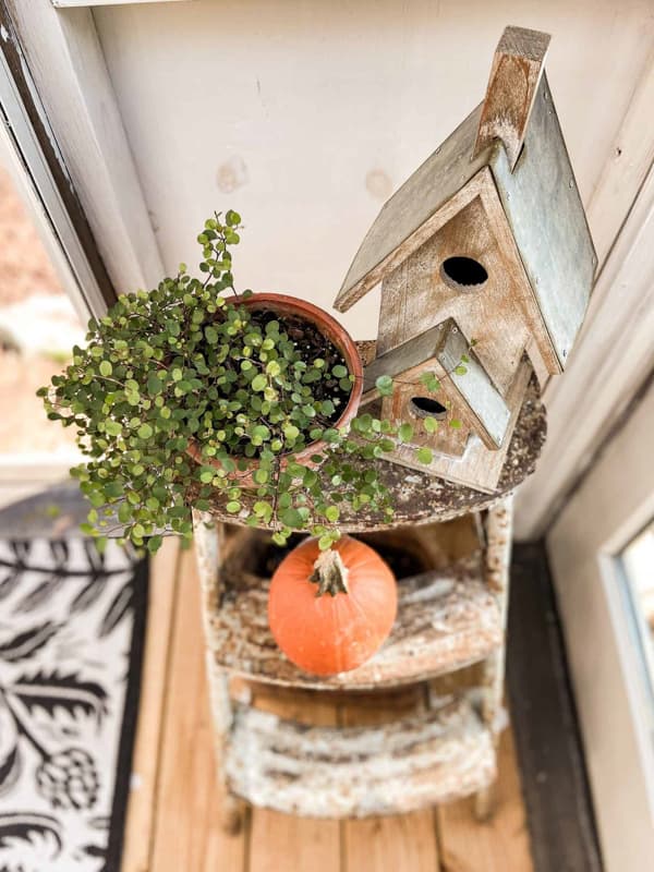 birdhouse on thrifted step ladder with pumpkin