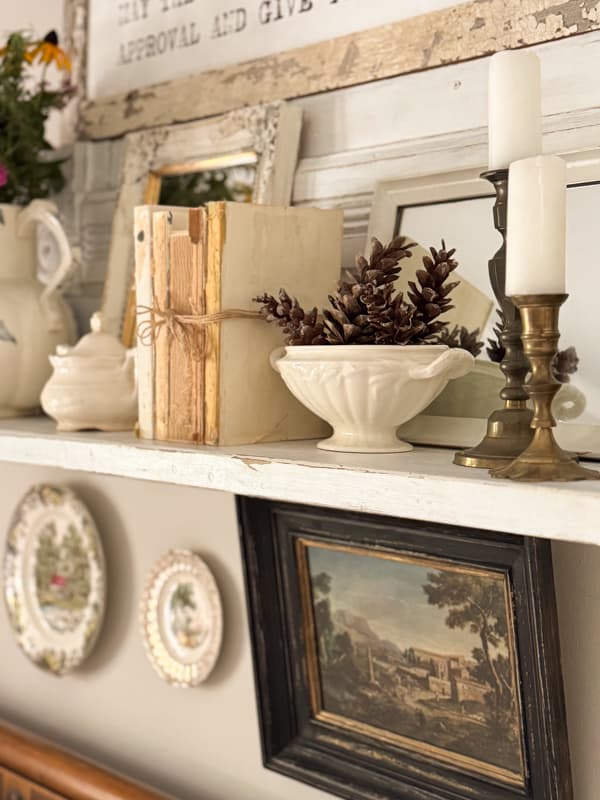 Pinecones in vintage tureen on shelf with old books