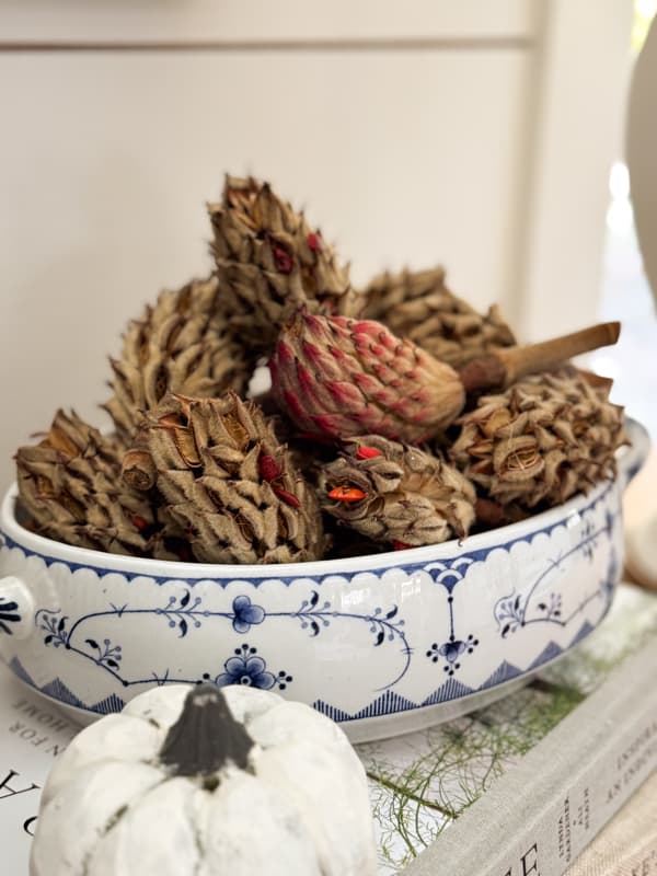 blue and white tureen with magnolia seed pods