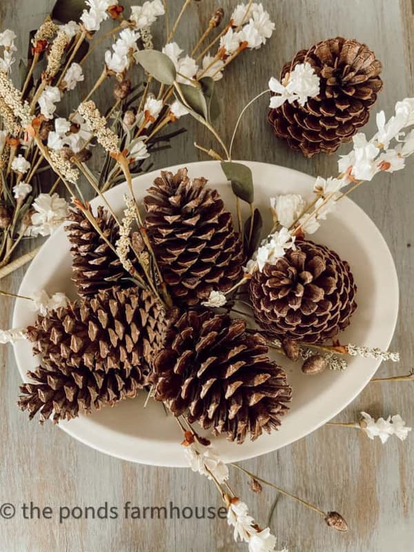 foraged pinecones in white ironstone bowl