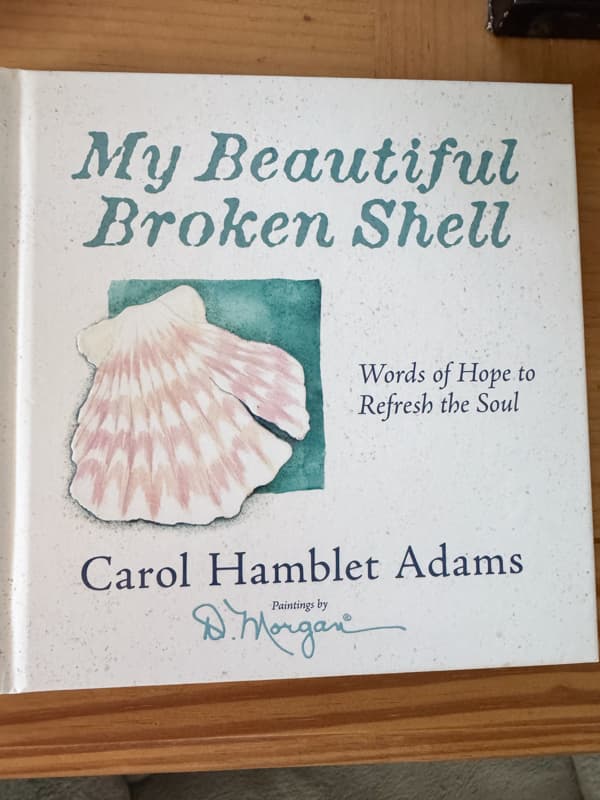 My Beautiful Broken Shell