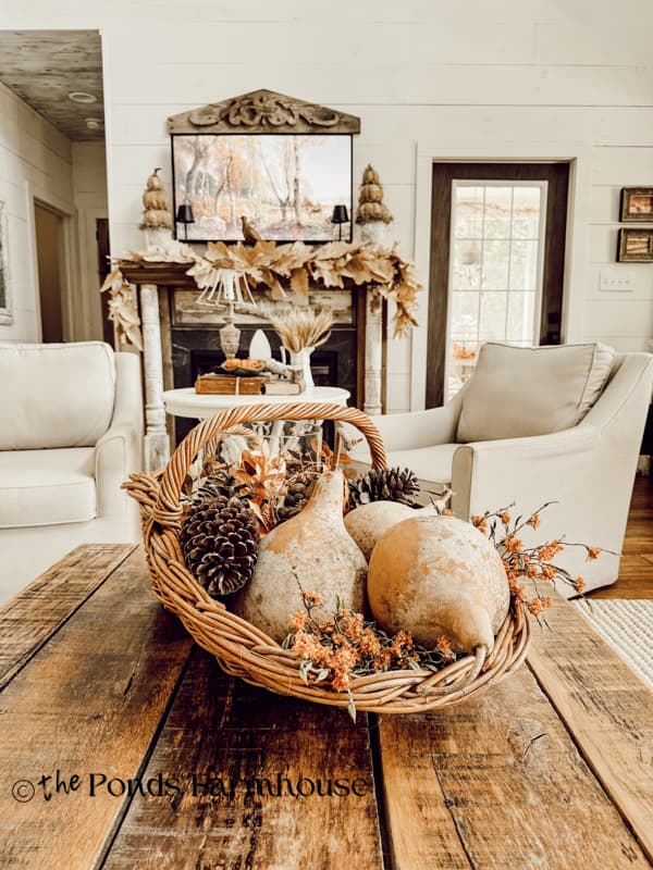 scoop basket with gourds and pinecones for coffee table centerpiece
