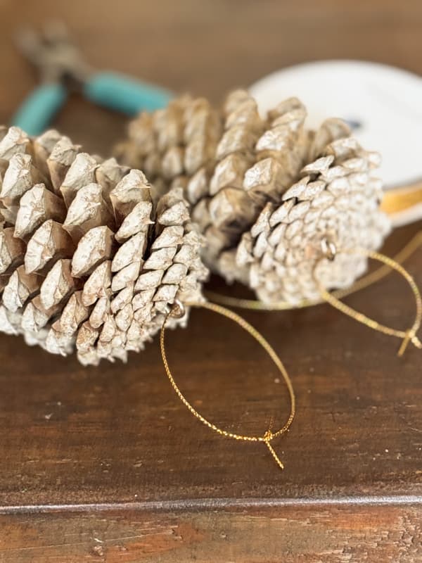 Add a hanger to eye hook on pinecones