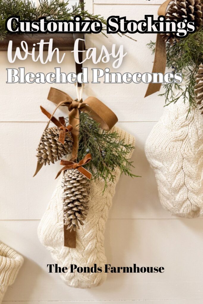 Customize Stockings With Easy Bleached Pinecones