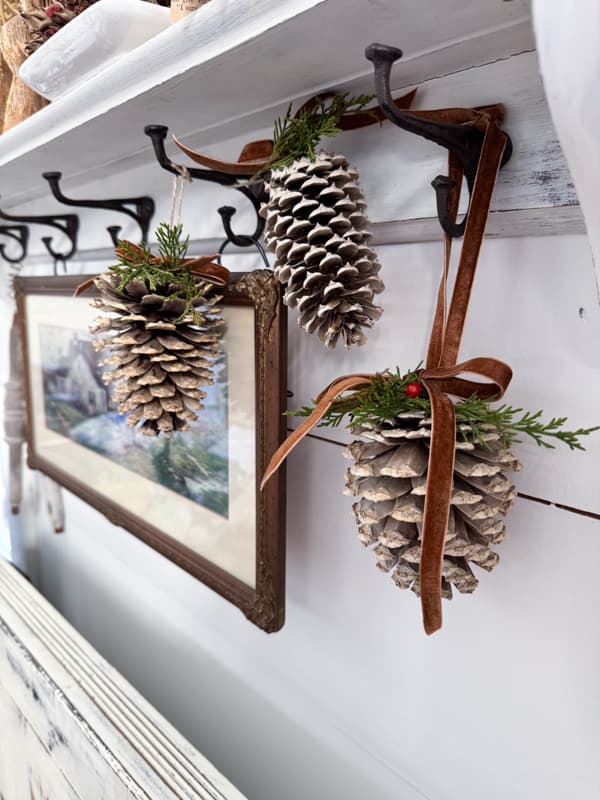 DIY bleached pinecones hanging from a shelf