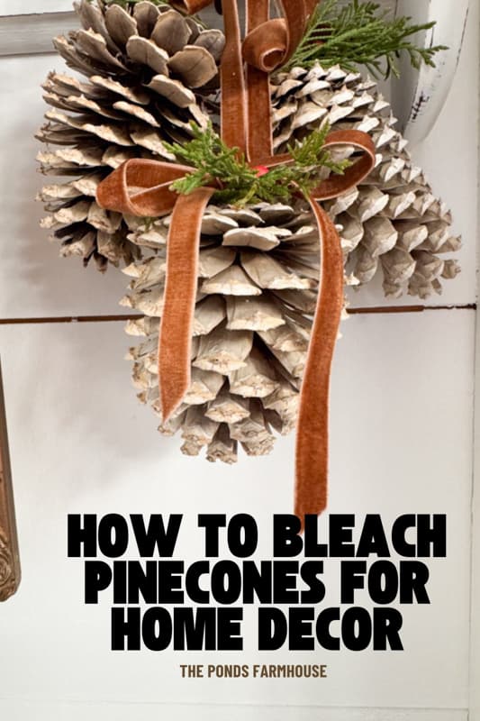 How To Bleach Pinecones for Home Decor