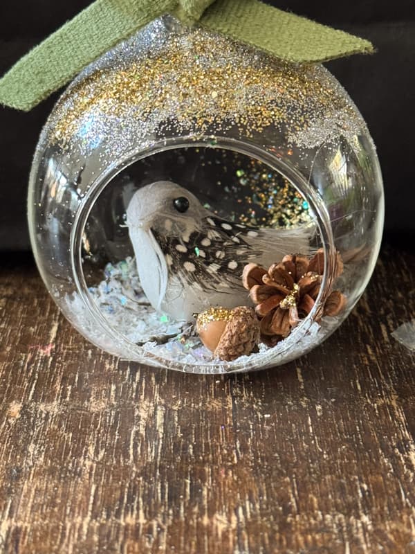 bird snow globe on shelf