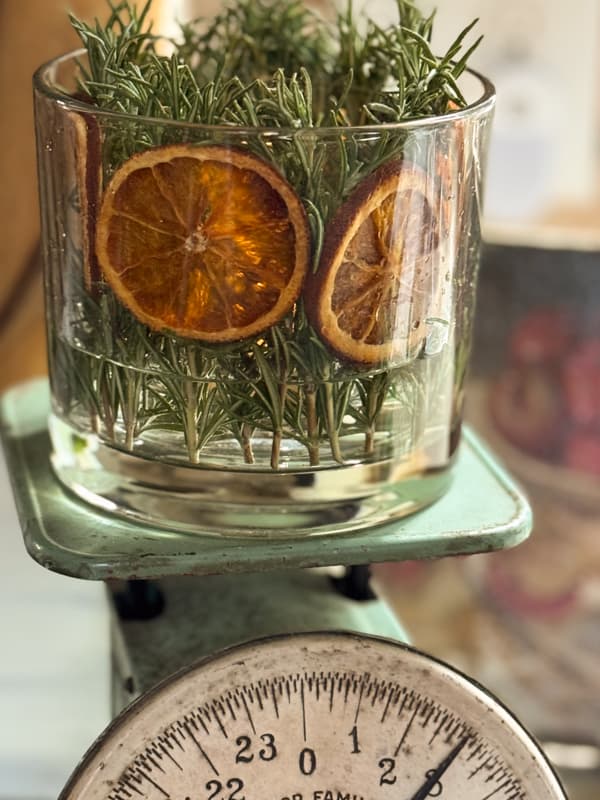 rosemary and dried orange candle holder