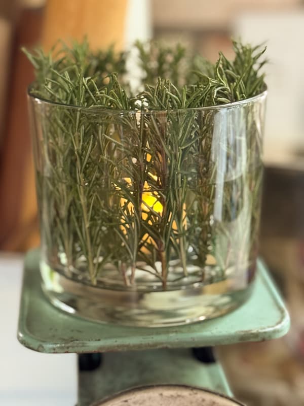 rosemary candle holder