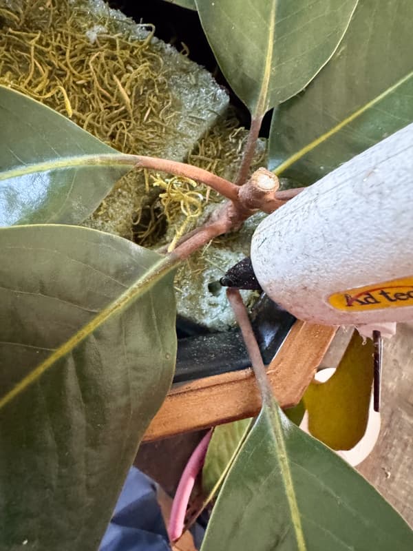 add hot glue to attach individual magnolia stems