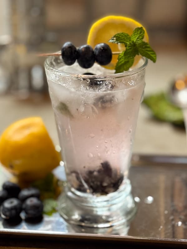 Blueberry Mojito Mocktail