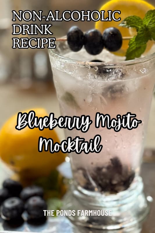 Blueberry Mojito Mocktail Recipe