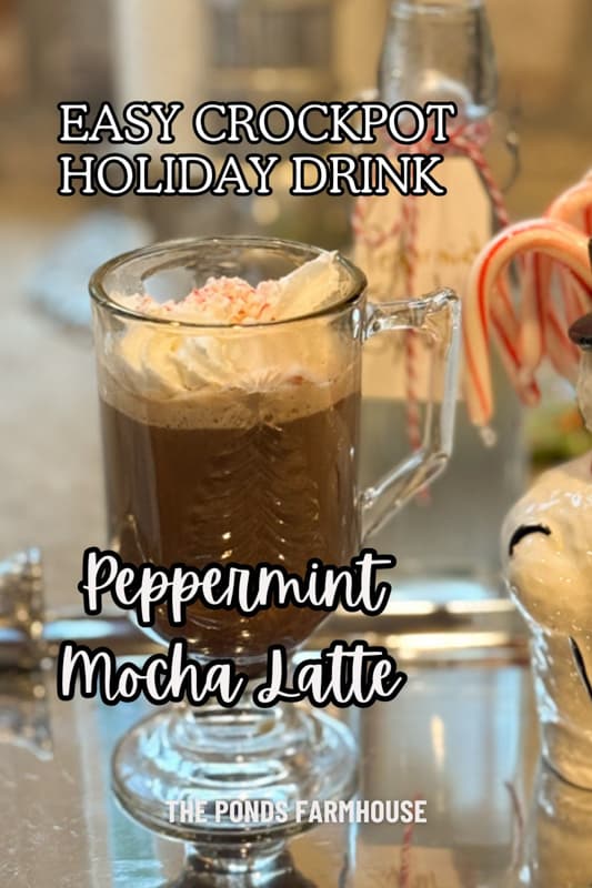 Crockpot Peppermint Mocha Latte