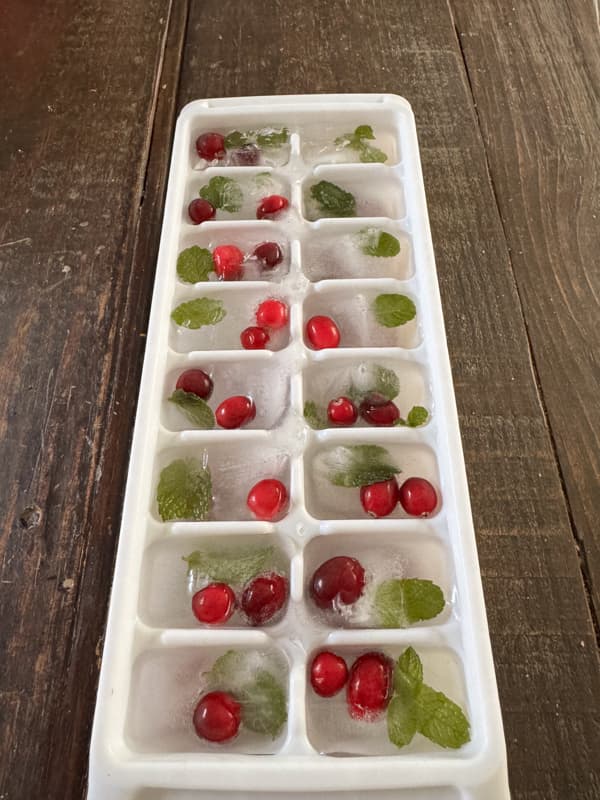 Ice cubes with fresh cranberries and mint leaves