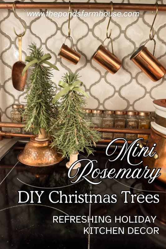 Mini Rosemary DIY Christmas Trees For the Kitchen