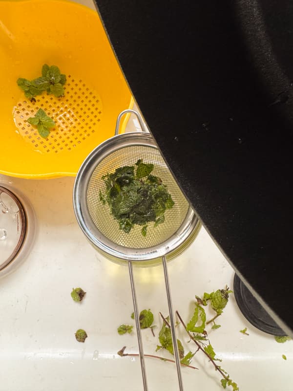 drain mint for mint simple syrup recipe