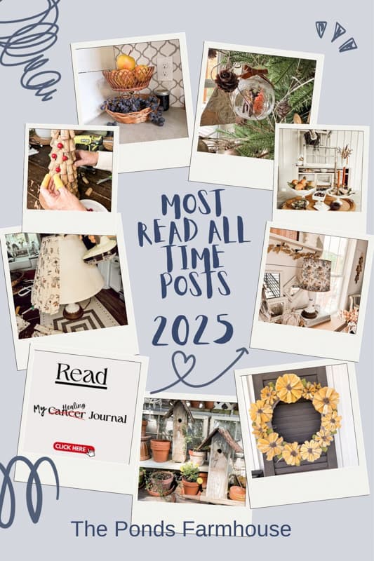 Most Read Posts o 2025