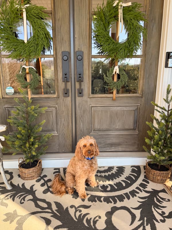 Rudy at front doors decorated for Christmas