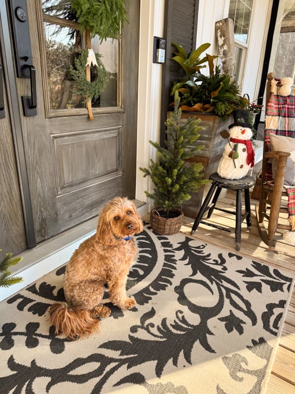 Rudy at Front Door with Planter and Snowman