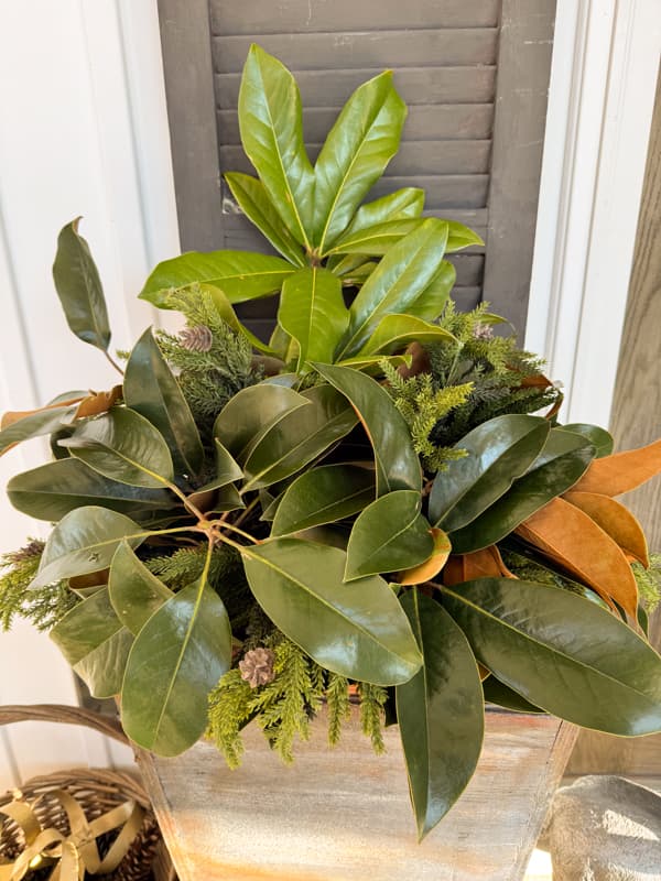 planters with real magnolia stems and faux pine stems for Christmas Porch Decor.