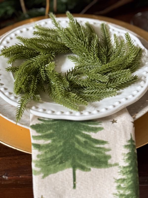 Christmas tree napkin between the dinner and salad plate