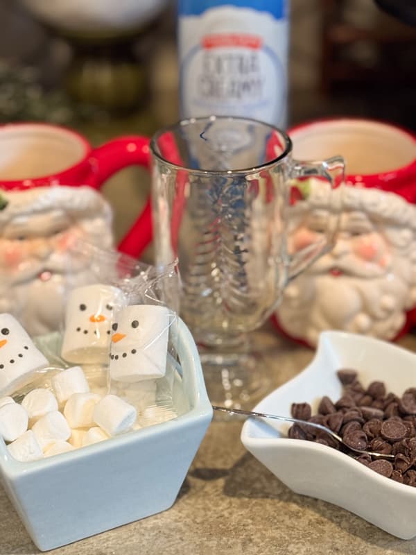 marshmellows and chocolate chips for toppings