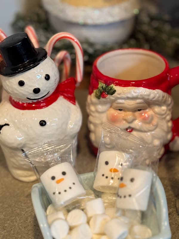 Snowman planter with candy canes and santa mug