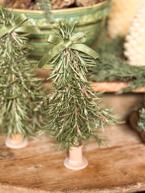 rosemary trees with green velvet bows