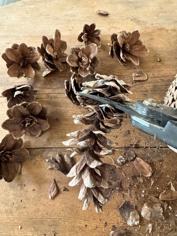 Cut Pinecones into small pieces with pruning shears to make flowers for Valentine's wreath