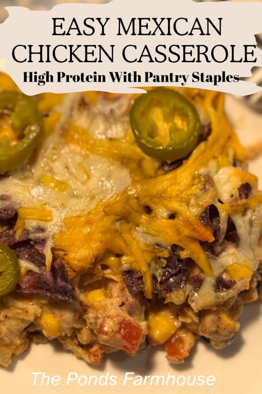 Easy Mexican Chicken Casserole