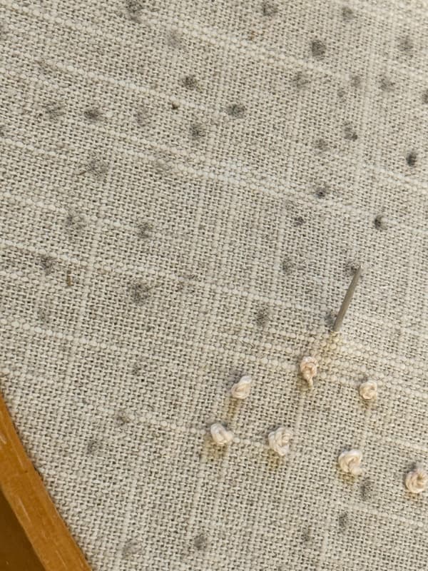 Bring needle up from underneath fabric at the dot and draw the thread through