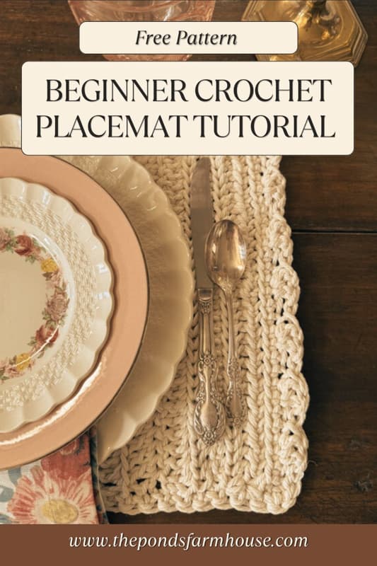 Beginner Crochet Placemat tutorial