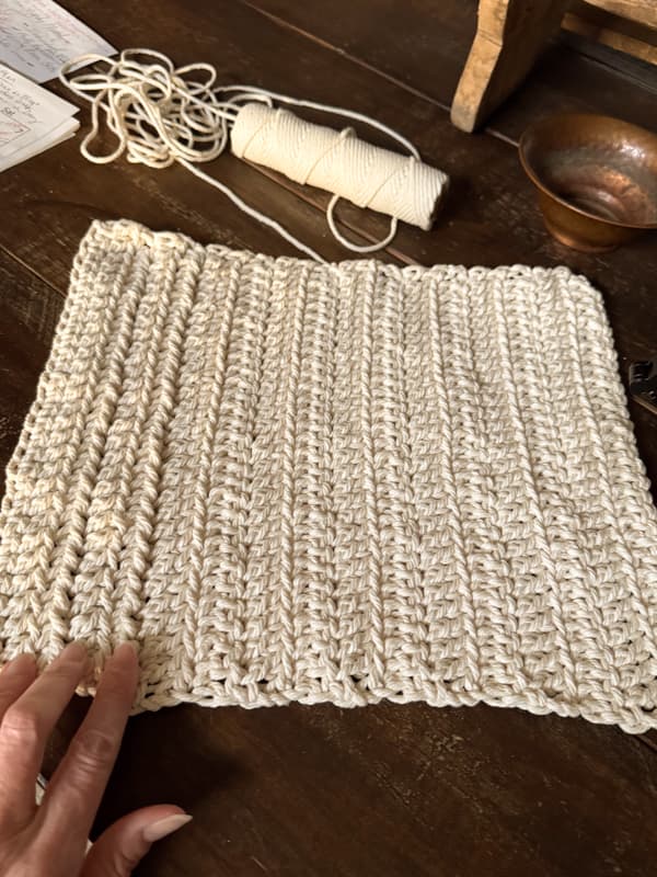 Crochet Placemat with 4 rows of hdc flo and 12 rows of dc flo 